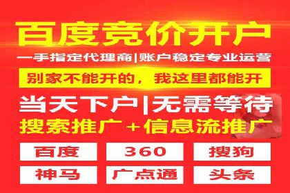 实战解析：SEM竞价策略优化案例